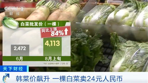 韓國民眾叫苦不迭 菜價水產品價格一路飆升，生活壓力陡增