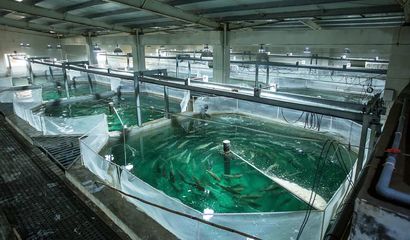 喜報！國信集團兩家水產品公司入選青島首批新經濟潛力企業