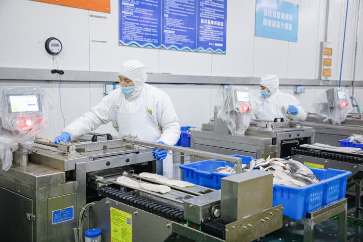 開辟綠色生命通道，海安中洋集團200噸水產食品馳援上海保供穩鏈