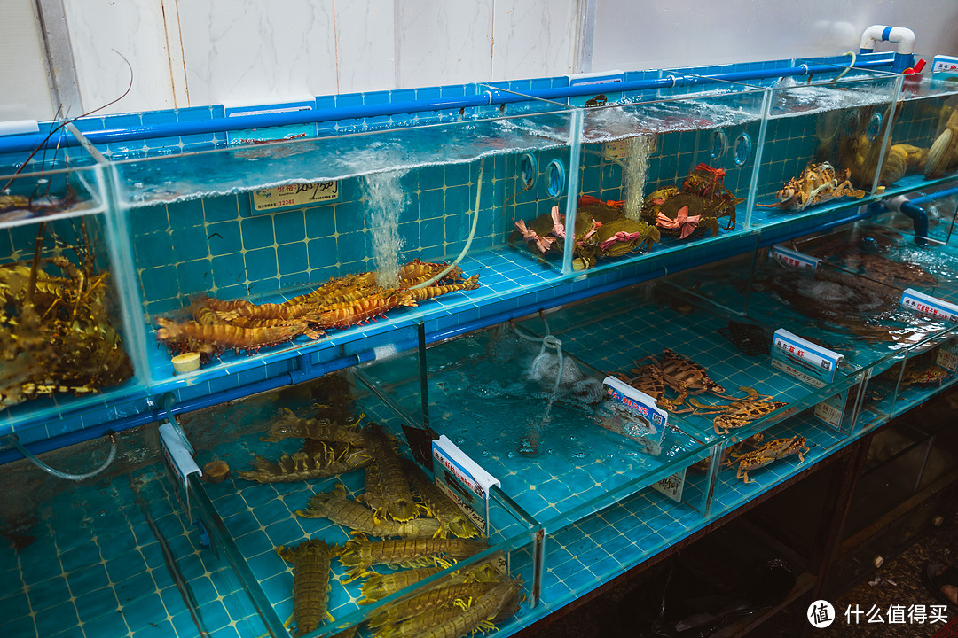 小縣城海鮮生意經 機遇、挑戰(zhàn)與成功之道